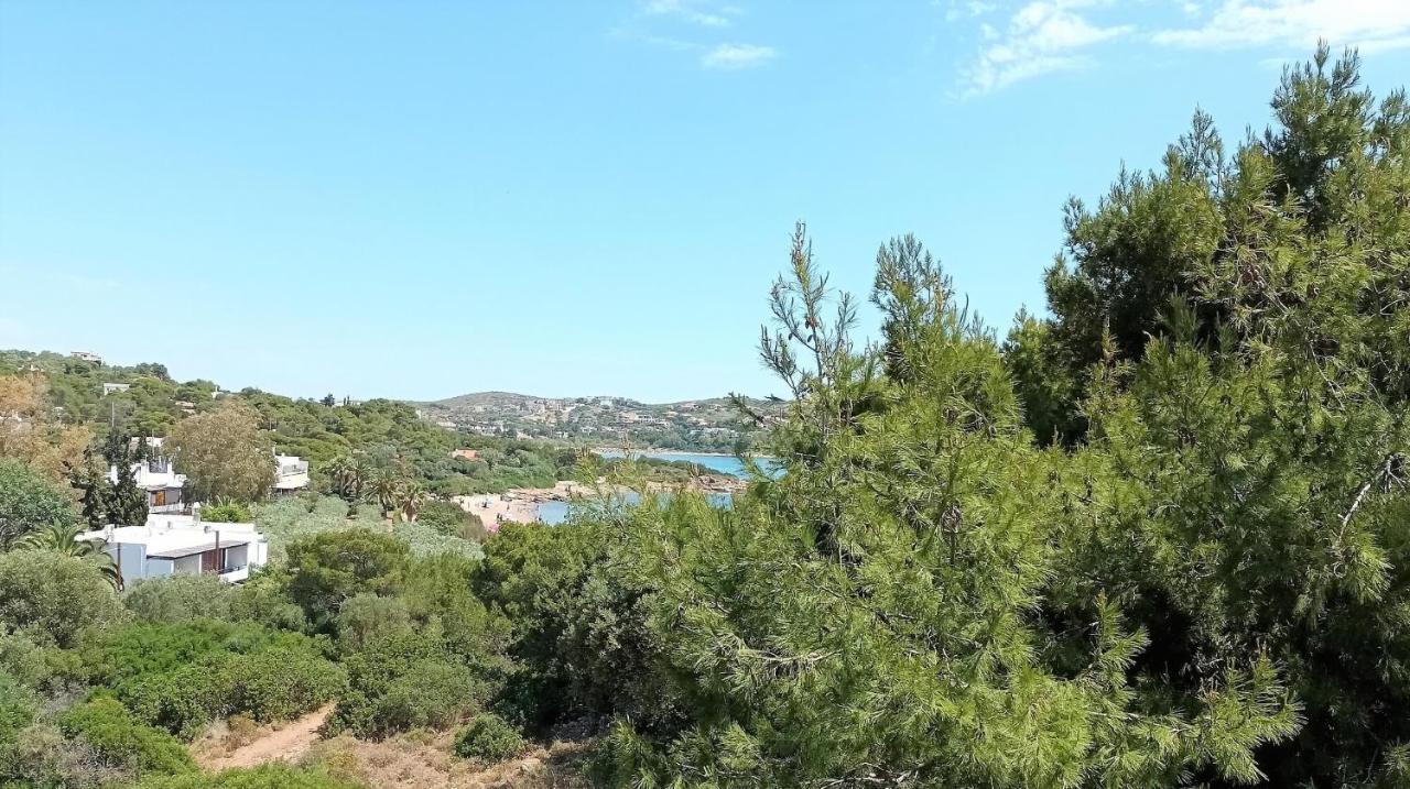Dea Del Mare Complex In Front Of The Sea. Villa Sounion Luaran gambar